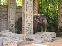 064 Secret Garden Mirage